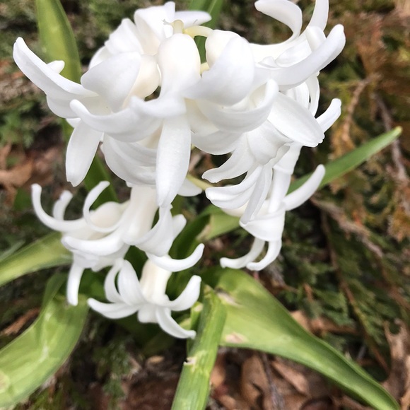 Thanks for stopping by! - Picture 1 of 2